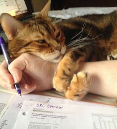 19f1b8a123b8f1ded1bd0116abb7167c