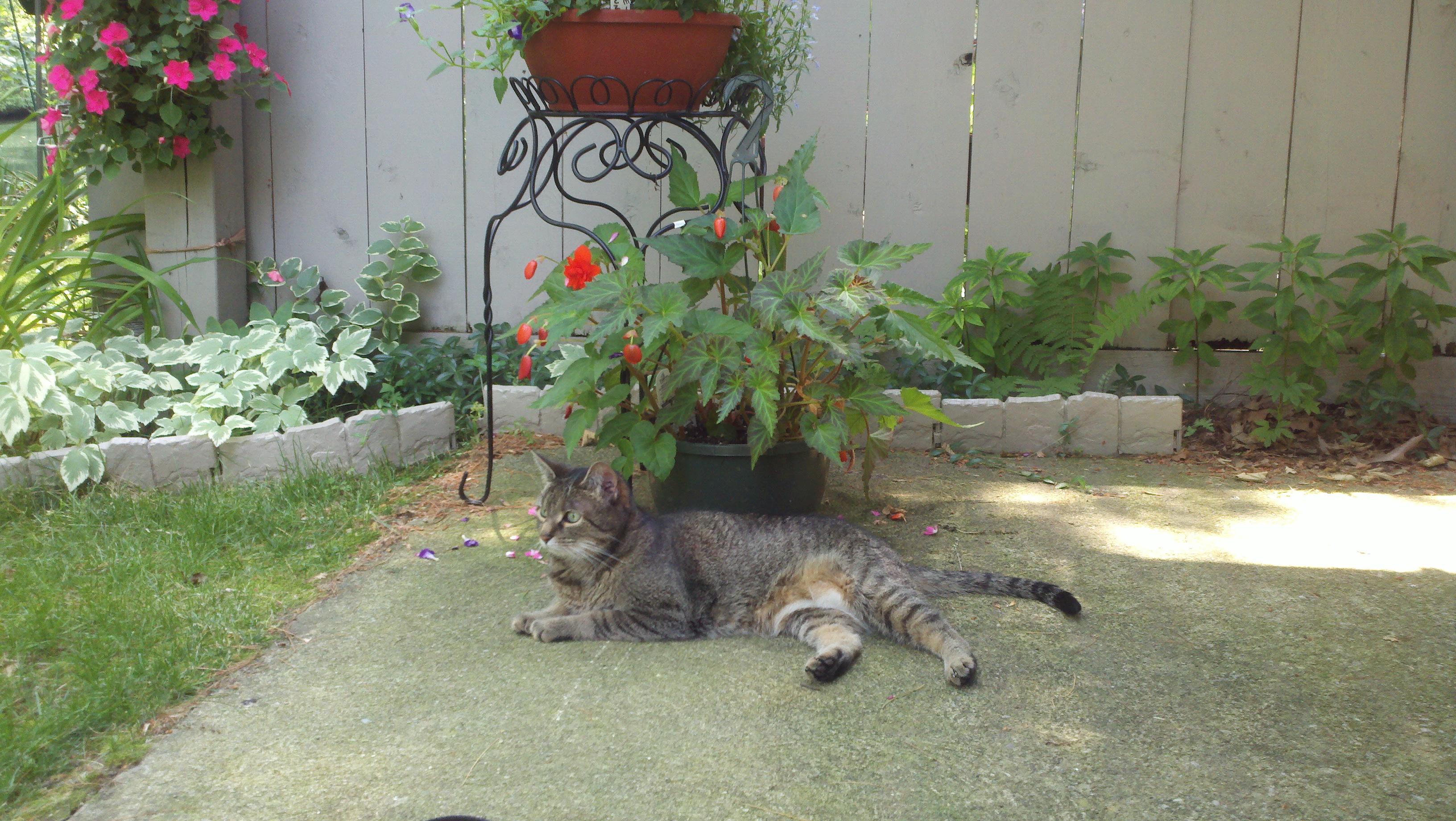 2011-06-08_12-41-29_262