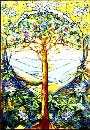 b765fdb1ca8b9e9147cb7bd03f89fea9